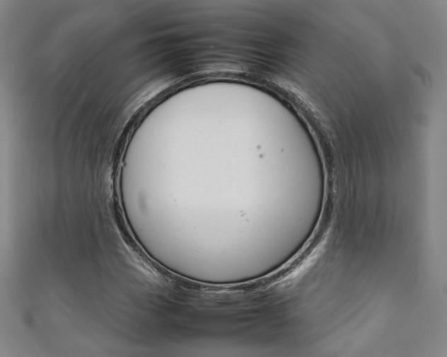 X0000111351113200907100929