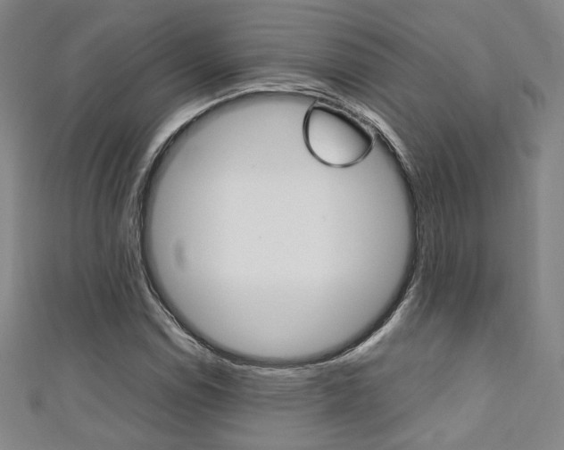 X0000111351114200907100929