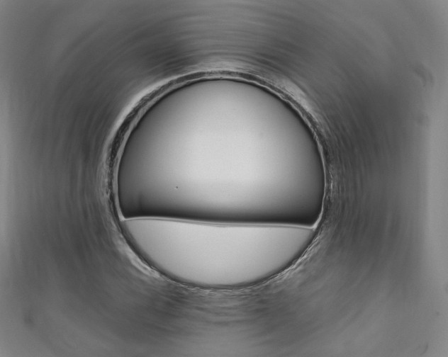 X0000111351116200907100929