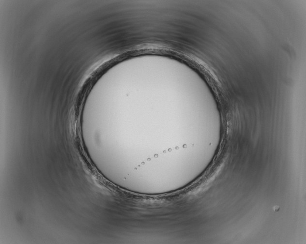 X0000111351117200907100929