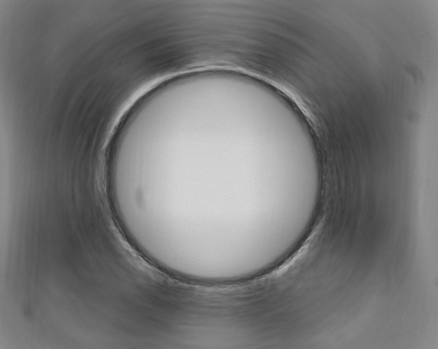 X0000111351118200907100929