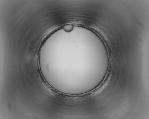 X0000111351121200907100929