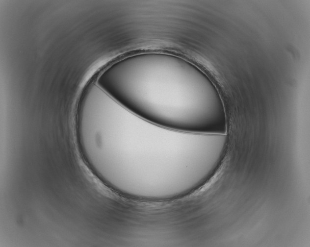 X0000111351122200907100929