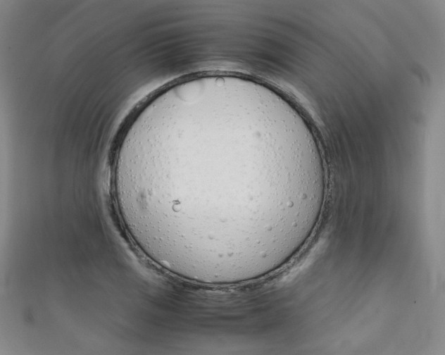 X0000111351125200907100929