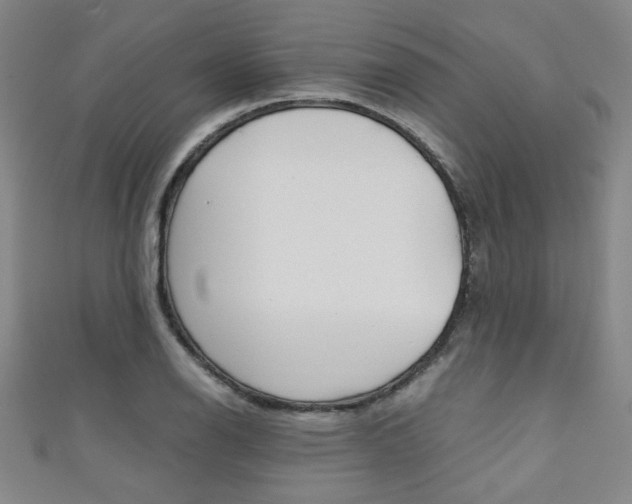X0000111351126200907100929