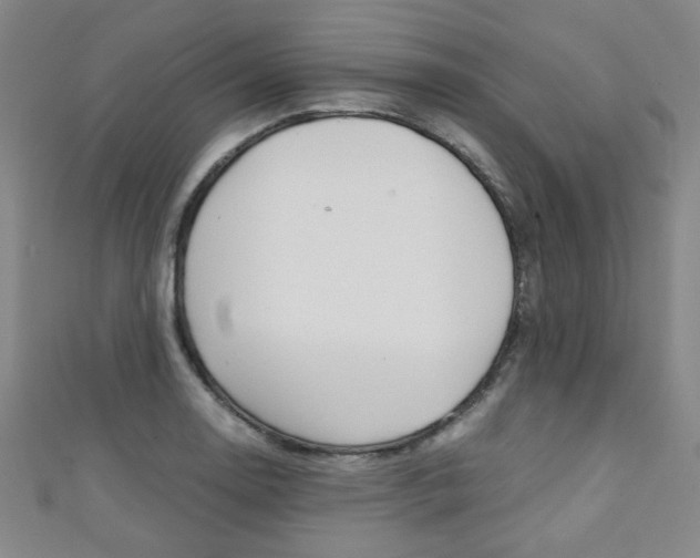 X0000111351130200907100929