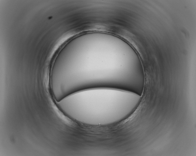 X0000111351131200907100929