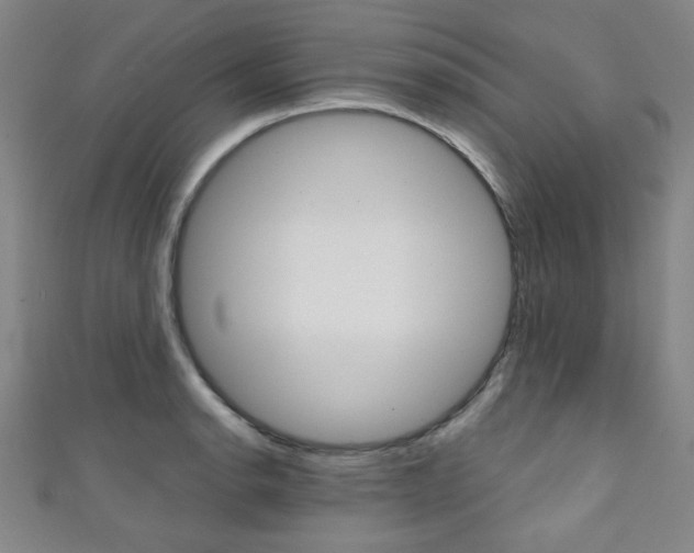 X0000111351134200907100929