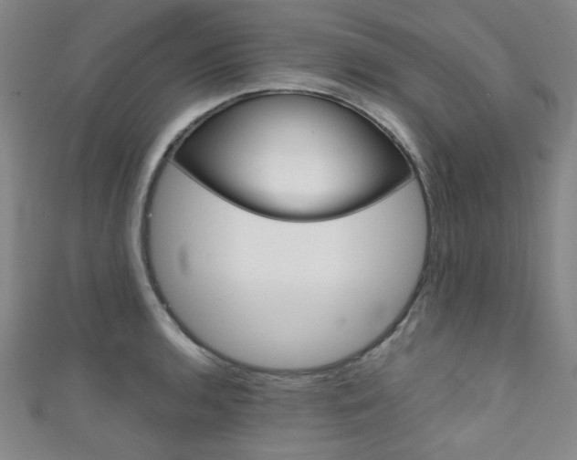 X0000111351136200907100929