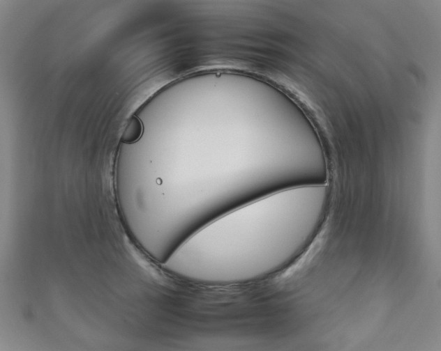 X0000111351137200907100929