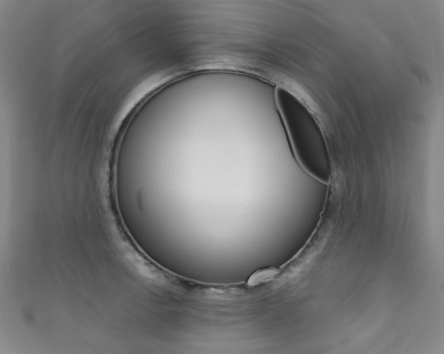 X0000111351138200907100929