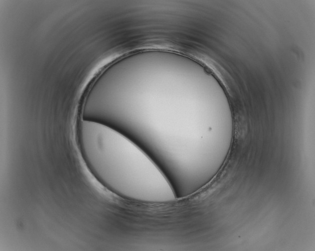 X0000111351139200907100929