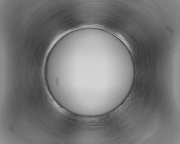 X0000111351140200907100929