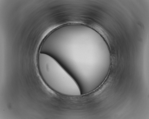 X0000111351141200907100929