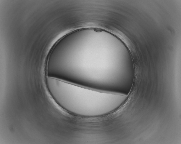 X0000111351142200907100929