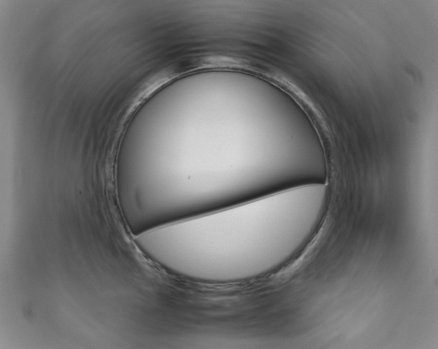 X0000111351145200907100929