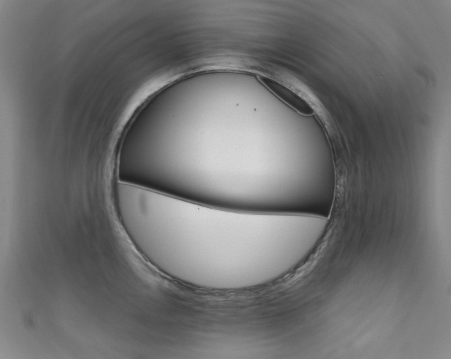 X0000111351146200907100929