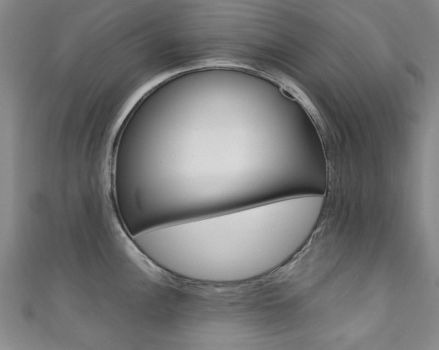 X0000111351148200907100929