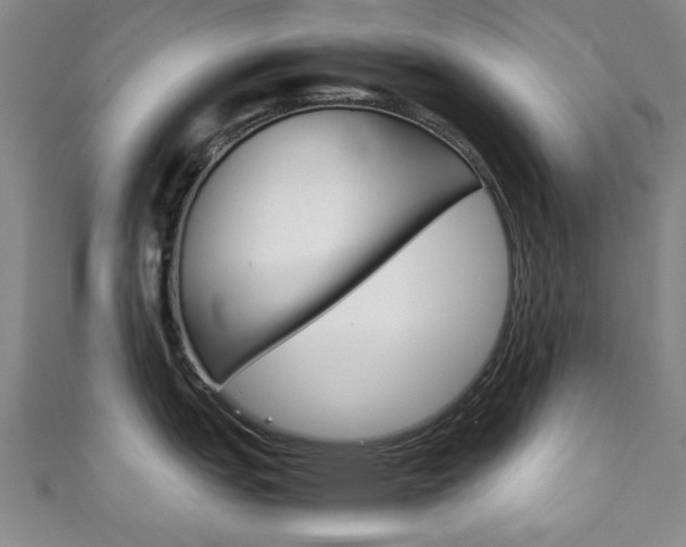 X0000111351151200907100929