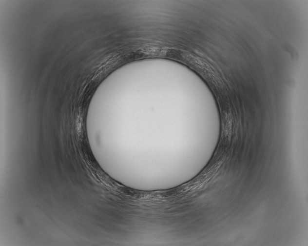 X0000111351154200907100929
