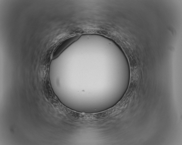 X0000111351157200907100929