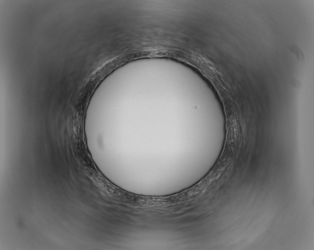 X0000111351158200907100929