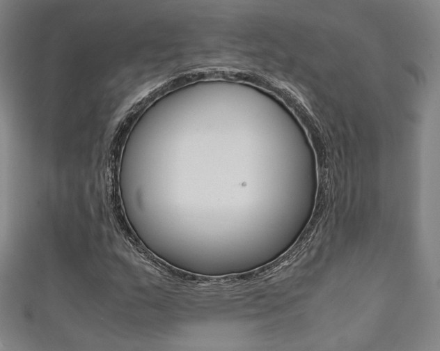 X0000111351159200907100929