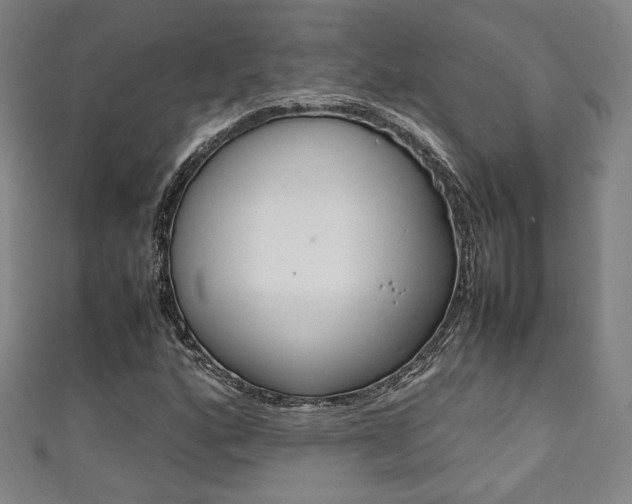 X0000111351160200907100929