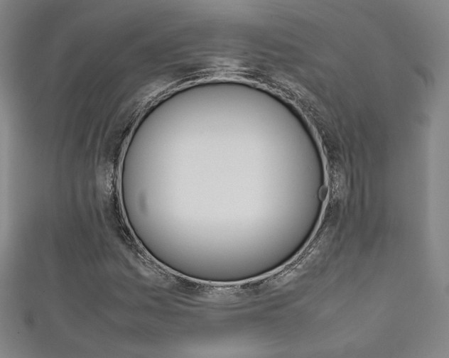 X0000111351161200907100929