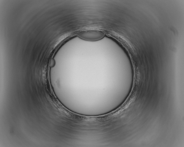X0000111351162200907100928