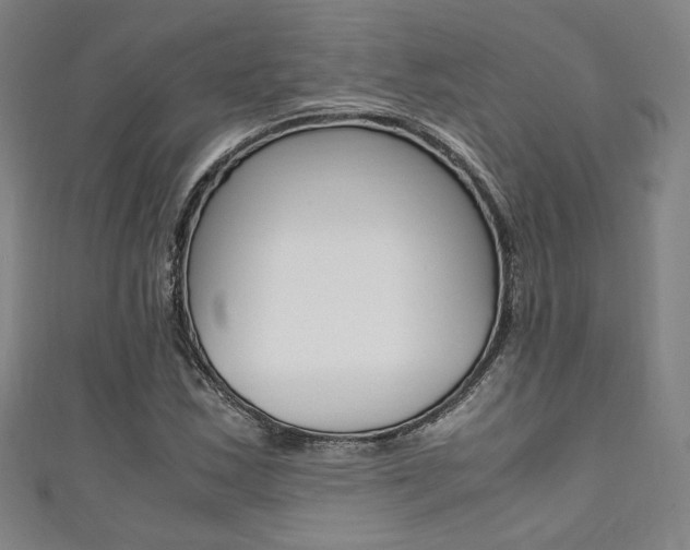 X0000111351163200907100928