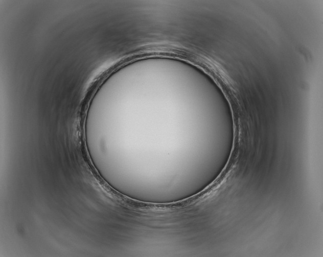 X0000111351164200907100928