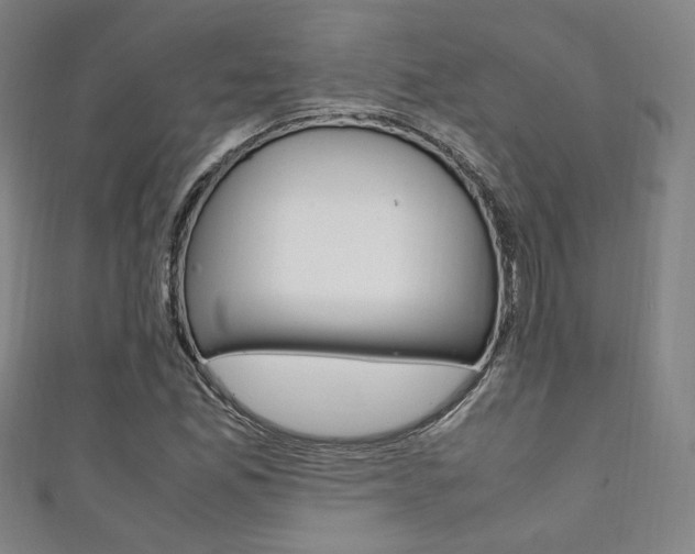 X0000111351165200907100928