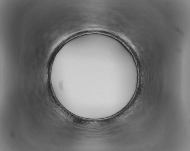 X0000111351167200907100928