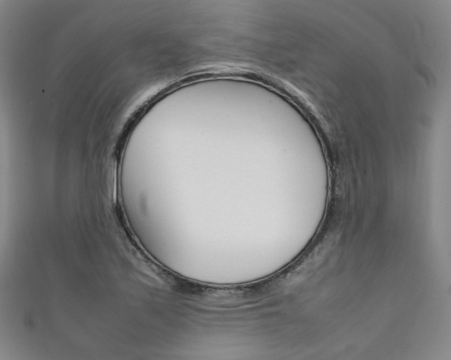 X0000111351171200907100928