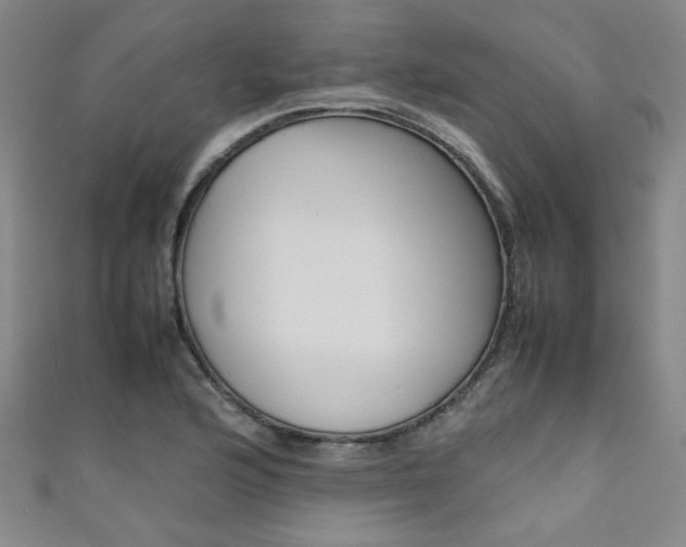 X0000111351176200907100928