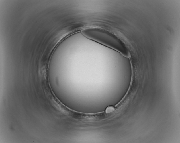 X0000111351177200907100928
