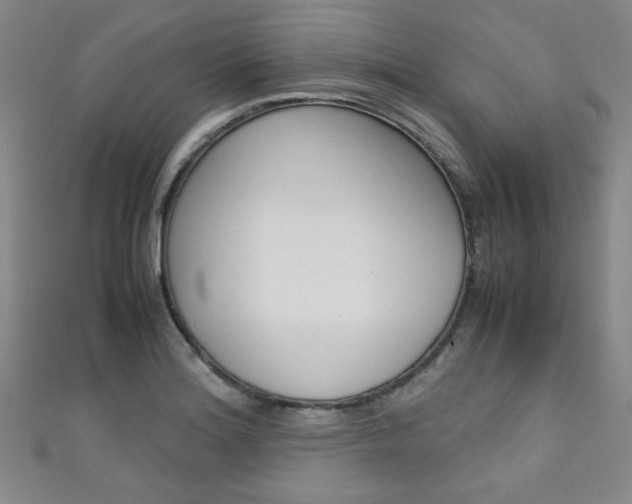 X0000111351180200907100928