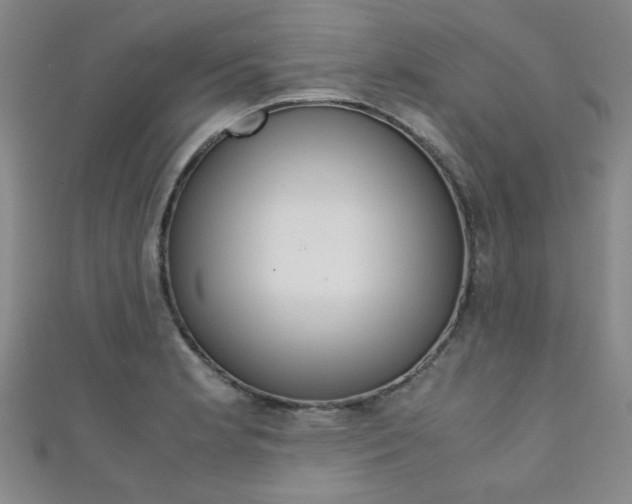 X0000111351181200907100928