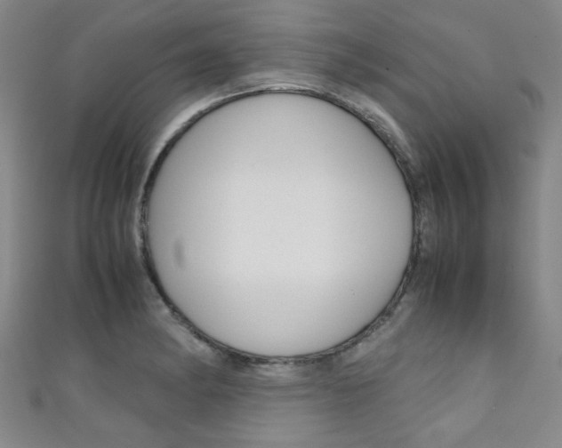 X0000111351182200907100928