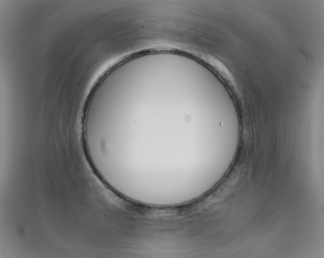 X0000111351183200907100928