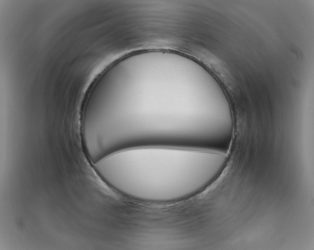 X0000111351184200907100928