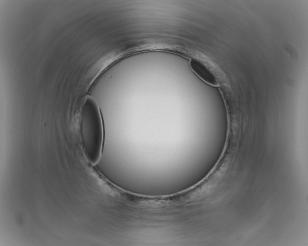 X0000111351185200907100928