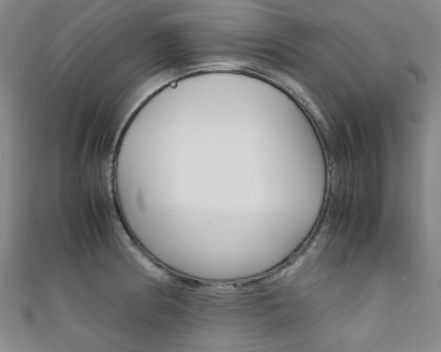 X0000111351186200907100928