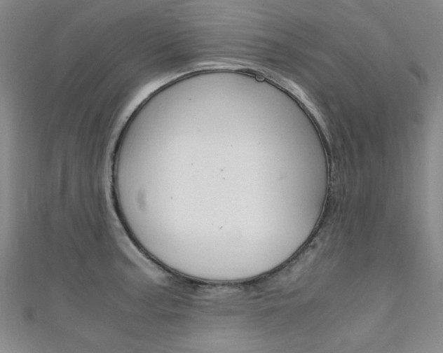 X0000111351187200907100928