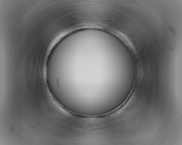 X0000111351188200907100928