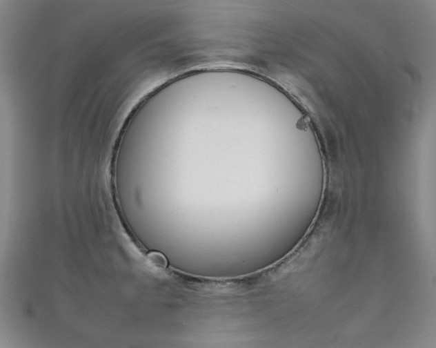 X0000111351189200907100928