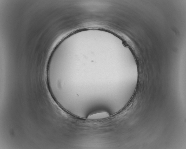 X0000111351191200907100928