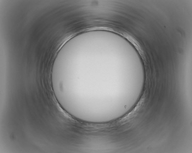 X0000111351193200907100928