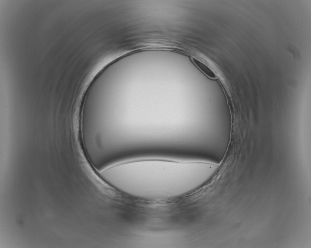 X0000111351195200907100928